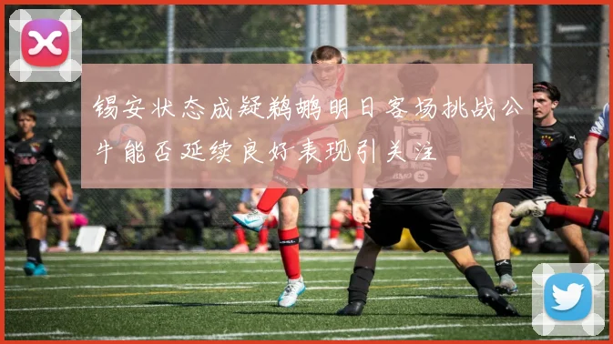 锡安状态成疑鹈鹕明日客场挑战公牛能否延续良好表现引关注