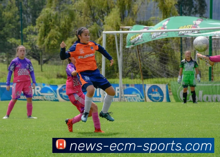 易倍体育平台生态图